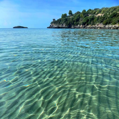 Crystal-clear water and lush coast with a tower.